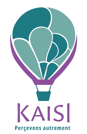 KAISI DEVELOPPEMENT : votre évolution professionnelle est notre métier